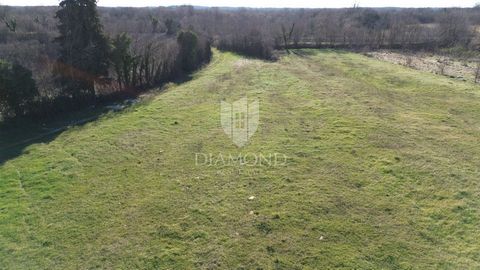 Location: Istarska županija, Svetvinčenat, Svetvinčenat. Stiamo vendendo un bellissimo terreno agricolo ai margini dell'urbanizzazione. Il terreno è completamente pianeggiante e confina con il terreno su cui si trovano case ed edifici ausiliari, cioè...