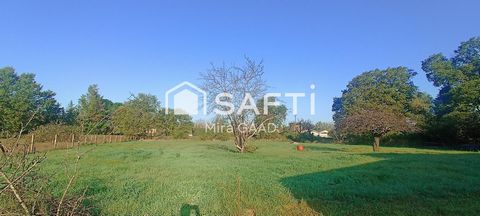 photo no. 1