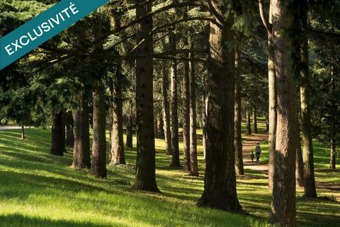 VUE SUR LYON DEGAGEE