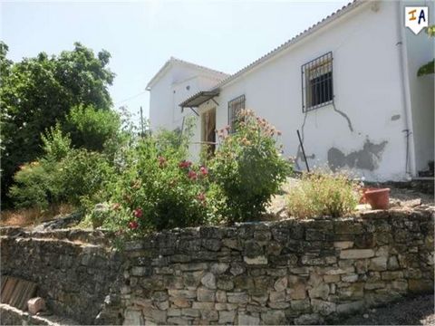 This large Countryside property has 5 double bedrooms and sits on a plot size of 20,999m2 of land including 120 olive trees, situated in an elevated position in the village of El Adelantado close to the popular town of Iznajar in the Cordoba region o...