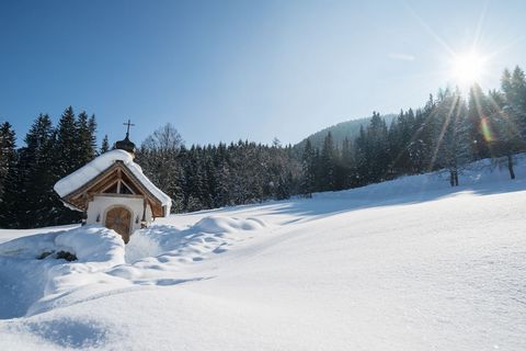 This enchanting mansion is in Eben im Pongau is ideal for a family. It can accommodate 4 guests and has 2 bedrooms and a central heating. This property is perfect for winter sport fans who enjoys skiing due to its proximity to the Salzburger Sportwel...