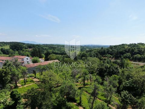 Location: Istarska županija, Pazin, Stari Pazin. Pazin, surroundings, building plot of 1046m2. A few minutes' drive from the center of Pazin, there is a building plot with a flat surface and a regular shape. The infrastructure is located next to the ...