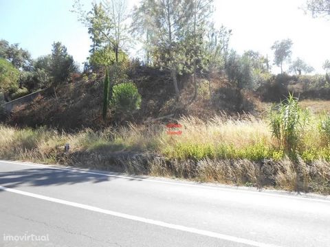 Land for construction with an area of 1025 m2, in Santa Catarina da Serra with excellent location.