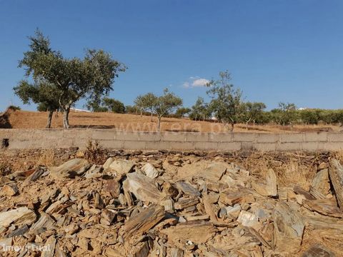 Land composed of olive grove, walled and with good access. Situated in the nearest village of Castelo Branco. Ideal for cultivating.