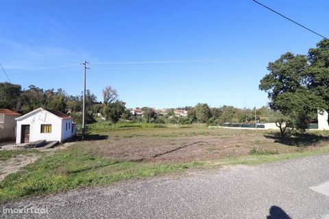 Land with an area of 2,700 m2, with feasibility of construction, very uniform and with a good front. Quiet place with good accessibility. Ideal for building a great villa. It is located in the parish of Moinhos da Gândara, with good access to the A17...