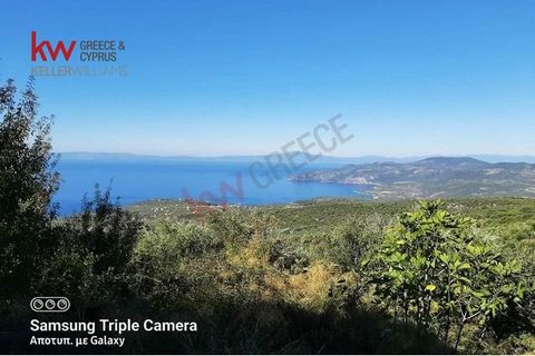Buildable plot 4272.35sqm for sale, in a privileged position of Messinia, Greece, overlooking the sea, right on the edge of mount Taygetos. Builds up to 200sqm and has 100 fully productive olive trees. The plot has a 360 degree view of the mountain, ...