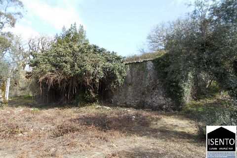 House in ruins to renovate near the village of Ansiao-Central Portugal. This property is located in a small village close to Ansiao, where you can find all the amenities for your day-to-day life, such as; Health center, supermarkets, banks, pharmacy,...