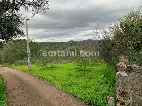 Magnificent flat land with a well! Located in an expanding area, in Querença, this rustic land with 840m² is an unique investment opportunity. With agriculture, rainfed farming and irrigation, as well as commerce located close to Estrada Nacional 125...