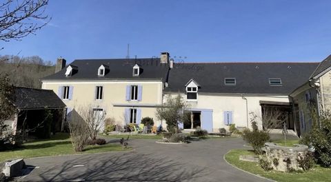 Beautiful house with Spa 10 minutes from Lourdes, this magnificent house (18th century, 420 m²) renovated with quality materials, offers beautiful volumes, 7 bedrooms, 5 bathrooms, a luxurious wellness area (spa, sauna, hammam) and a guest room activ...