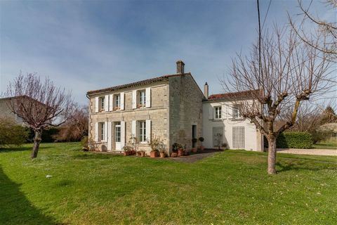 This charming village house is set amongst vineyards yet is within walking distance of the village shop as well as Jarnac town centre. On the ground floor the house offers an entrance hall (with WC), a large living room with two sets of sliding patio...