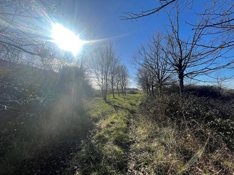 Real estate complex to be completely renovated comprising a residential house with an adjoining barn and three outbuildings for a total floor area of 350m2, all on a plot of 5300m2. Major work is to be expected. Contact Alexandre MACHET on ... now to...