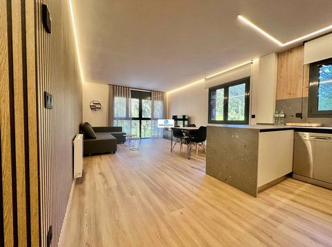 Welcome to your investment paradise in Llorts, Ordino, in the exclusive Principality of Andorra, where the beauty of the Pyrenees merges with the contemporary elegance of this spectacular 85 m2 property. We present a unique investment opportunity in ...