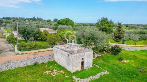 PUGLIA - CAROVIGNO GROUND Contrada Arrighi - Contrada Masseriola Coldwell Banker offers for sale, exclusively, 3 km from the beaches of Torre Pozzelle/ Costa Merlata of Ostuni, a large land with centuries-old olive grove. The land owned measures appr...
