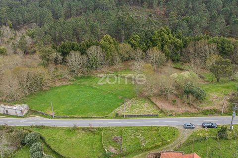 Identificação do imóvel: ZMPT565690 Exceptional investment opportunity in these rustic plots of land located in the picturesque region of Covas, in Vila Nova de Cerveira. With building capacity and a total area of 7540m2, they offer a vast expanse to...