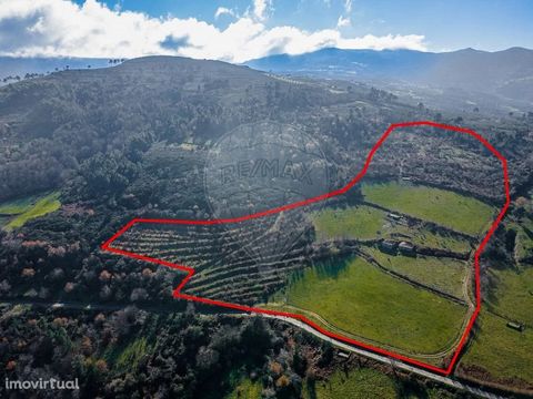 Farm with 82,970m2, with a formidable panoramic view over the Douro River. Excellent opportunity for investment in an agricultural project, wine plant, or even in the tourism sector. Come visit and be surprised!