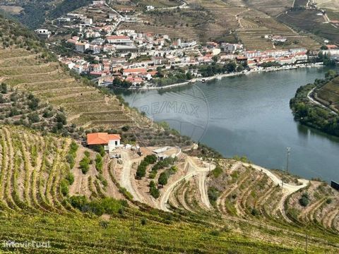 I am pleased to present to you the sale of a stunning wine estate located in Pinhão, a region known for its excellent wine production. With a prime location on the banks of the river and stunning views, this property offers a unique and exclusive exp...
