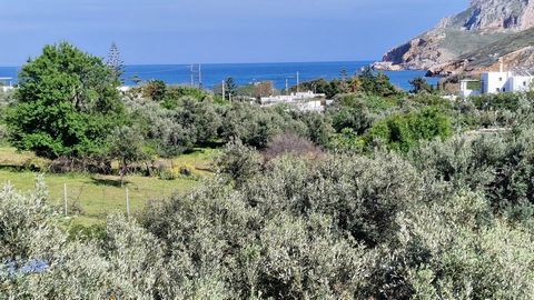 Beautiful house for sale etc +- 180 m2 on land +-330 m2 located Isle of Skyros locality Aspous Between the Linaria port and the village. 3 bedrooms, 3 bathrooms, guest toilet, outdoor toilet, kitchen equipped, large entrance hall, large living room +...