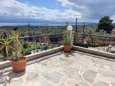 House 160sqm for sale 7 km away from Eretria. Located only 10 minutes driving from the sea and constructed in a 2000 sq meters plot. In the basement there is a living room with kitchen, a bedroom and 2 small storage rooms. Up in the ground floor ther...