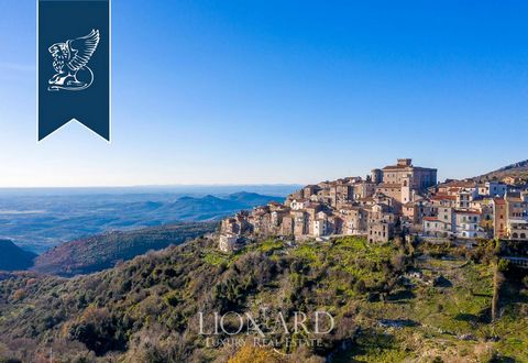 This luxury castle dating back to the 10th century is for sale in a high position on the hill of San Polo dei Cavalieri, in the province of Rome. Initially the property belonged to the Knights of the Sovereign Military Order of Malta and subsequently...