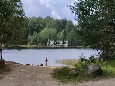 Located in Ромашки.