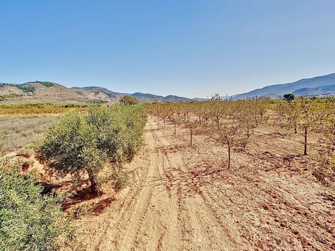 Recreational estate of 5730 square meters, located in the picturesque area of Laujar de Andarax. With a generous expanse, this property offers a serene and versatile space to fulfill your dreams of a retreat in the midst of nature. It features 166 ea...