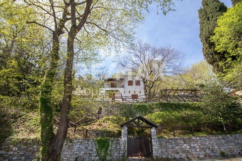 Real estate consultant - Efstathiou ioannis. Available for sale in one of the most beautiful villages of Pelion, Tsagarada, a luxurious detached house with a total area of 270 sq.m. on a plot of 1500 sq.m. it is a unique property with a view to the s...
