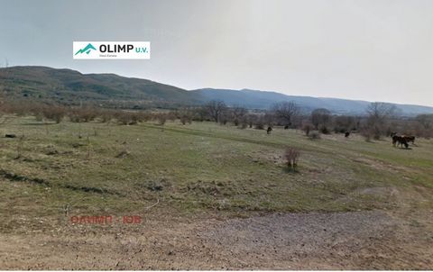 Plot of land in Lozen. Quiet and peaceful place about 4 km from the village of Dolni Lozen and 5 km from the Trakia highway. Access is by asphalt road and about 500 m by dirt road. There is electricity and water nearby. The allocation for the plot is...