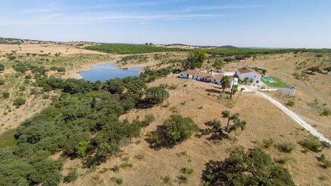 Great 69 ha homestead in the heart of Alentejo, in Évora district, close to the Alqueva Dam, located about 30 km from the historic Vila Viçosa and the medieval village of Monsaraz. Accessible by National Highway 255; is located about 28 km from the L...