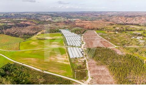Located in one of Portugal's most stunning and sought-after regions, this unique property offers an exceptional opportunity for those seeking a tranquil lifestyle close to nature. With 5 hectares of rustic land, this property is situated in the charm...