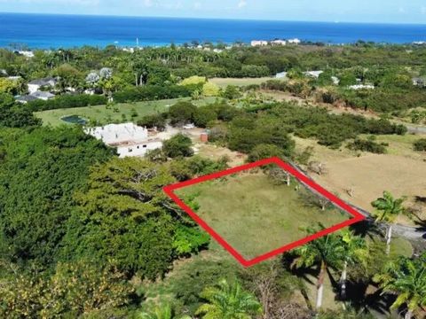 Large Lot and Open to Offers! Lot 12 comprises approximaely 23,228 SF of flat land and permissions would allow for a 1 or 2 storey villa on the site. It is located in Heron Mill, just up the hill the Mullins Bay Beach, restaurants, spa and other amen...