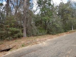 HEAVILY WOODY LOT. READY FOR A NEW OWNER.QUIET DEAD END STREET. OVER A HALF ACRE LOT . (0.76) Motivated sellers MAKE AN OFFER. LISTING BROKER MAKES NO REPRESENTATION TO LOT DIMENSIONS ACCURACY. BUYER TO VERIFY.