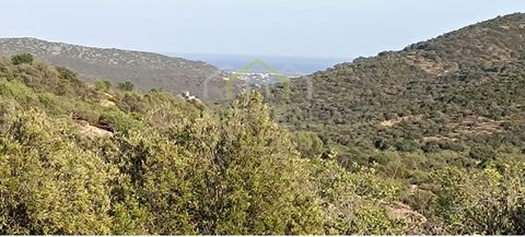 Rustikales Grundstück mit teilweisem Meerblick in Azinheiro, Estoi an der Algarve. Rustikales Anwesen mit einer Gesamtgrundstücksfläche von 7.360m2, bestehend aus Busch. Das Grundstück hat eine mäßige Hanglage und einen Zugang über Schotter. Die unbe...