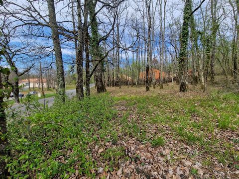 In de stad Nadaillac in de Dordogne bieden wij deze bouwkavel aan met een oppervlakte van 1.516m2. Het perceel is bebost, het is rustig, aan de rand van het dorp. De netwerken zijn vlakbij. Individuele sanitaire voorzieningen zijn vereist. U bevindt ...