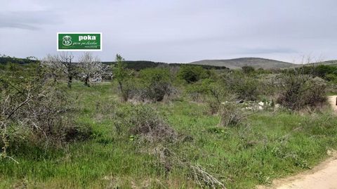 Roca propose à la vente un terrain panoramique d’une superficie de 1 340 m². mètres, situés sur les terres du village de Malka Vereya sur la route des bains minéraux de Stara Zagora. La propriété est située sur un versant sud et a une forme régulière...