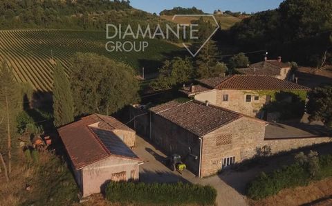 San Casciano in Val di Pesa (FI): Eingebettet im Herzen des Chianti Classico, biologische Landwirtschaft mit Weinberg und Ölmühle auf 10 Hektar Land und bestehend aus drei Gebäuden, so unterteilt: 1) Hauptgebäude von 540 qm auf zwei Ebenen unterteilt...