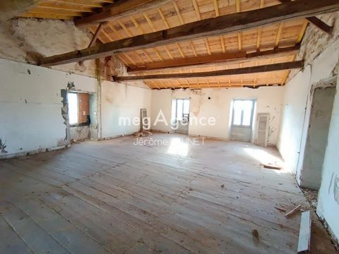 photo no. 13