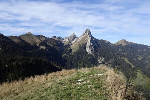 Questo appartamento di 74 mq, situato al 3° piano con ascensore, è ideale per famiglie o piccoli gruppi. Dispone di due camere da letto: una con letti a castello e un grande armadio a muro al piano terra, e una seconda al piano superiore con un letto...