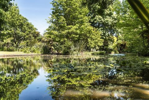 A large home with exceptionally generous living areas nestles amid and above the many-faceted grounds of nearly two hectares.   In this delightful mixture of parkland and established gardens, nature has been been allowed to shine while also enhanced ...