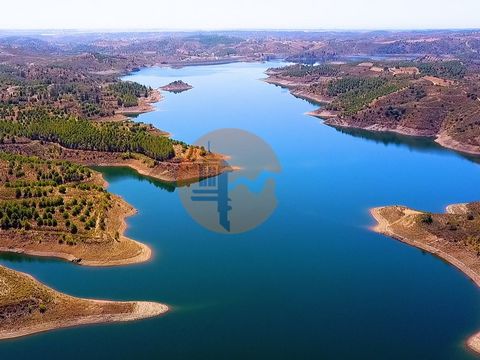 Land with 20 hectares, next to the Beliche Dam, AzinhaL - Castro Marim - Algarve - Portugal. There are 20 hectares of land for sale. Confronting the Beliche Dam. A peninsula within the lake. A farm in the Algarve. Land with many pine trees and direct...