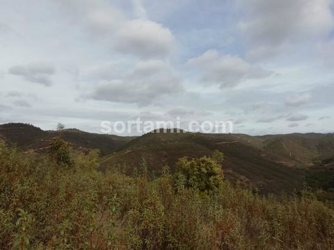 Berg Alentejo bei S. Barnabé Monte Alentejano, an einem ruhigen und friedlichen Ort gelegen, in Serra morena, in der Nähe von São Barnabé, Gemeinde Almodôvar. Das rustikale Land hat 59750 m2 und umfasst zwei städtische Grundstücke. Das Anwesen hat in...