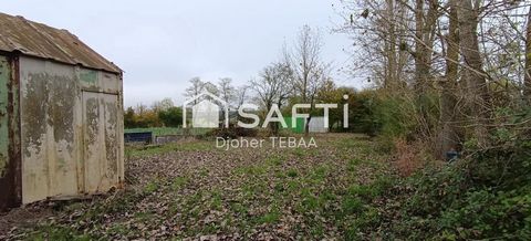 photo no. 3