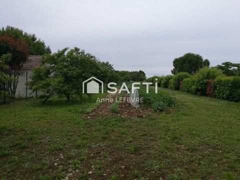 photo no. 1
