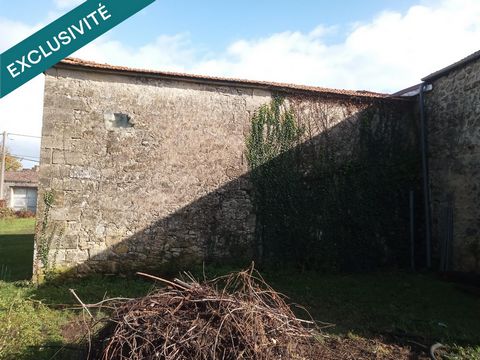photo no. 3
