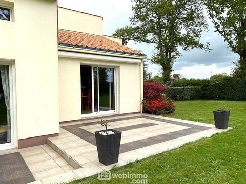 photo no. 11