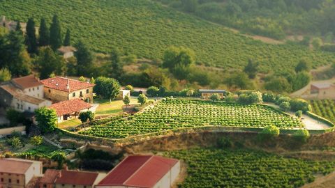 Encanto y Exclusividad en La Rioja: Preciosa Finca con viñedo en un Enclave Único Ideal para inversores A solo 5 km de Haro, y rodeada de viñedos, esta finca histórica del siglo XVI ofrece más de 6.000 m² de puro encanto y confort. Antiguamente perte...