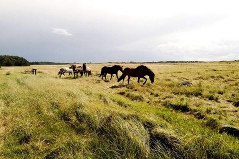 Ta nieruchomość, oferująca różnorodne domki kempingowe do wynajęcia, zaspokaja różnorodne potrzeby zakwaterowania z opcjami dla maksymalnie 6 osób w przestronnych domkach. Domki Forest Cabins są wyposażone w 2 sypialnie i antresolę, a także prywatną ...