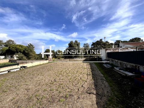 Terreno Urbano para Construção no Alto dos Bonecos - Quinta do Sapato, Paio Pires no Seixal Descrição: Apresentamos um excelente terreno urbano com grande potencial, contém dois lotes para construção, situado na prestigiada zona da Quinta do Sapato, ...