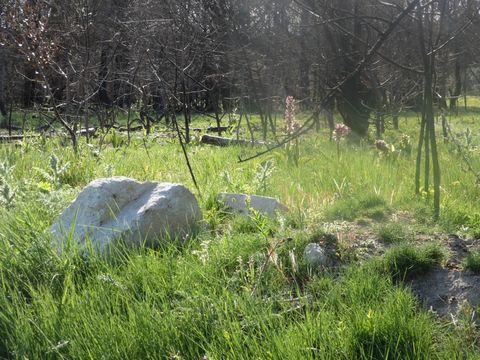 photo no. 2