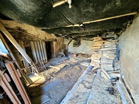 photo no. 11