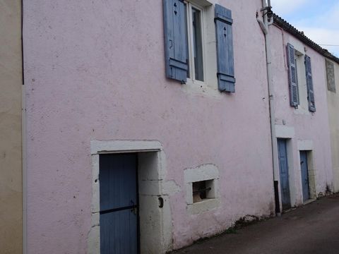 photo no. 6